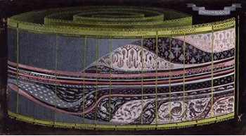 Paleontology (end pages study)